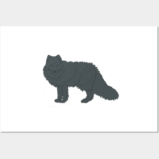 Blue Arctic Fox Posters and Art